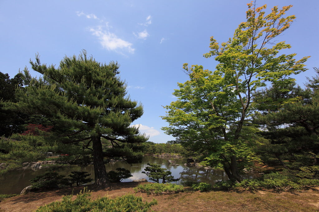 浄楽園の写真13