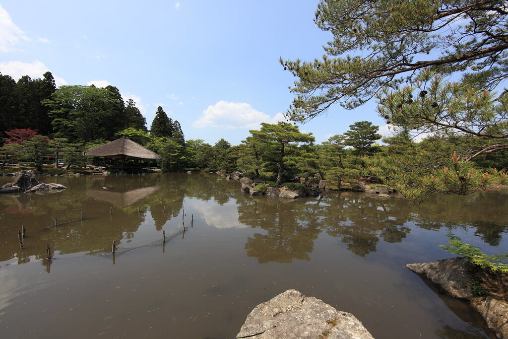 浄楽園の写真15