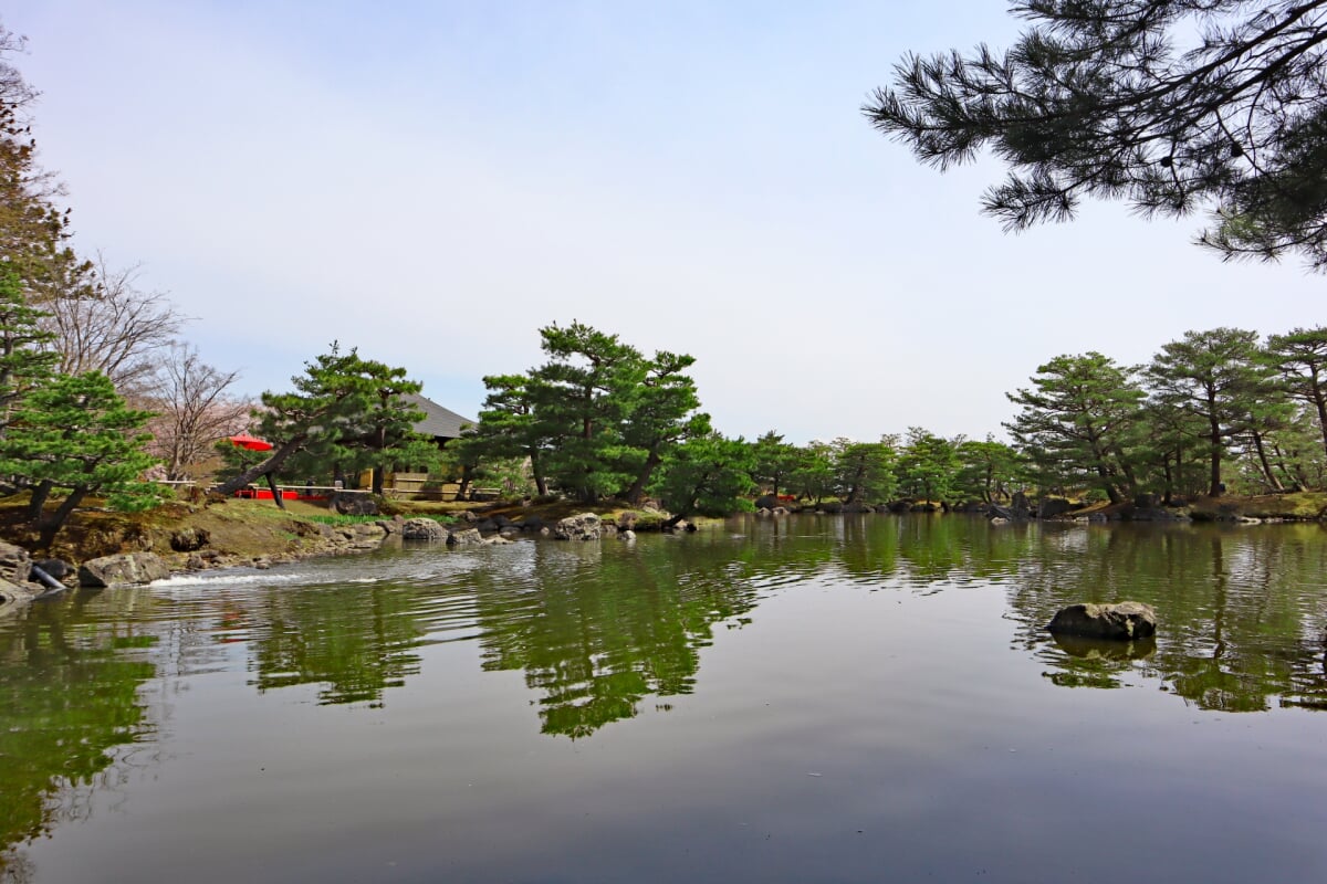 浄楽園の写真16