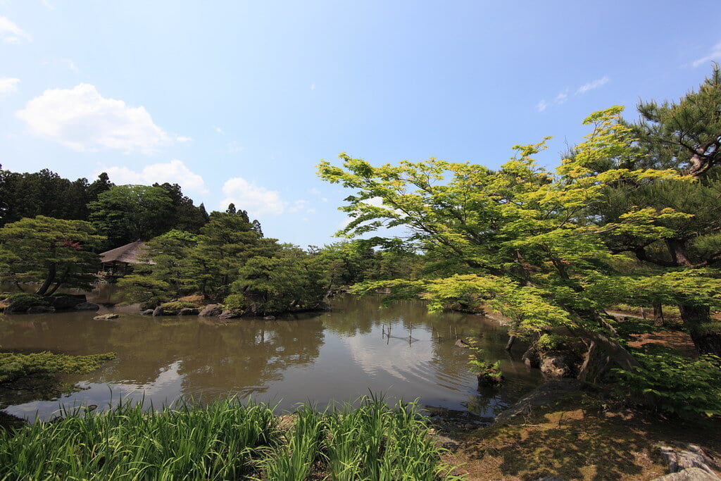 浄楽園の写真20