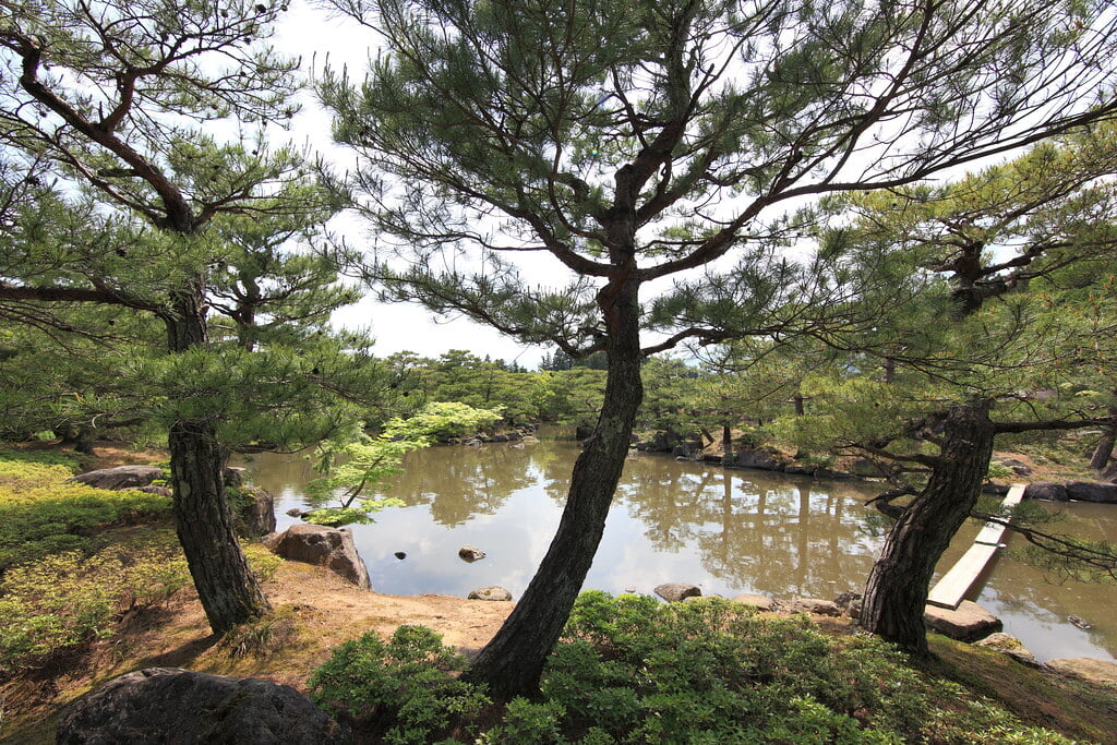 浄楽園の写真21