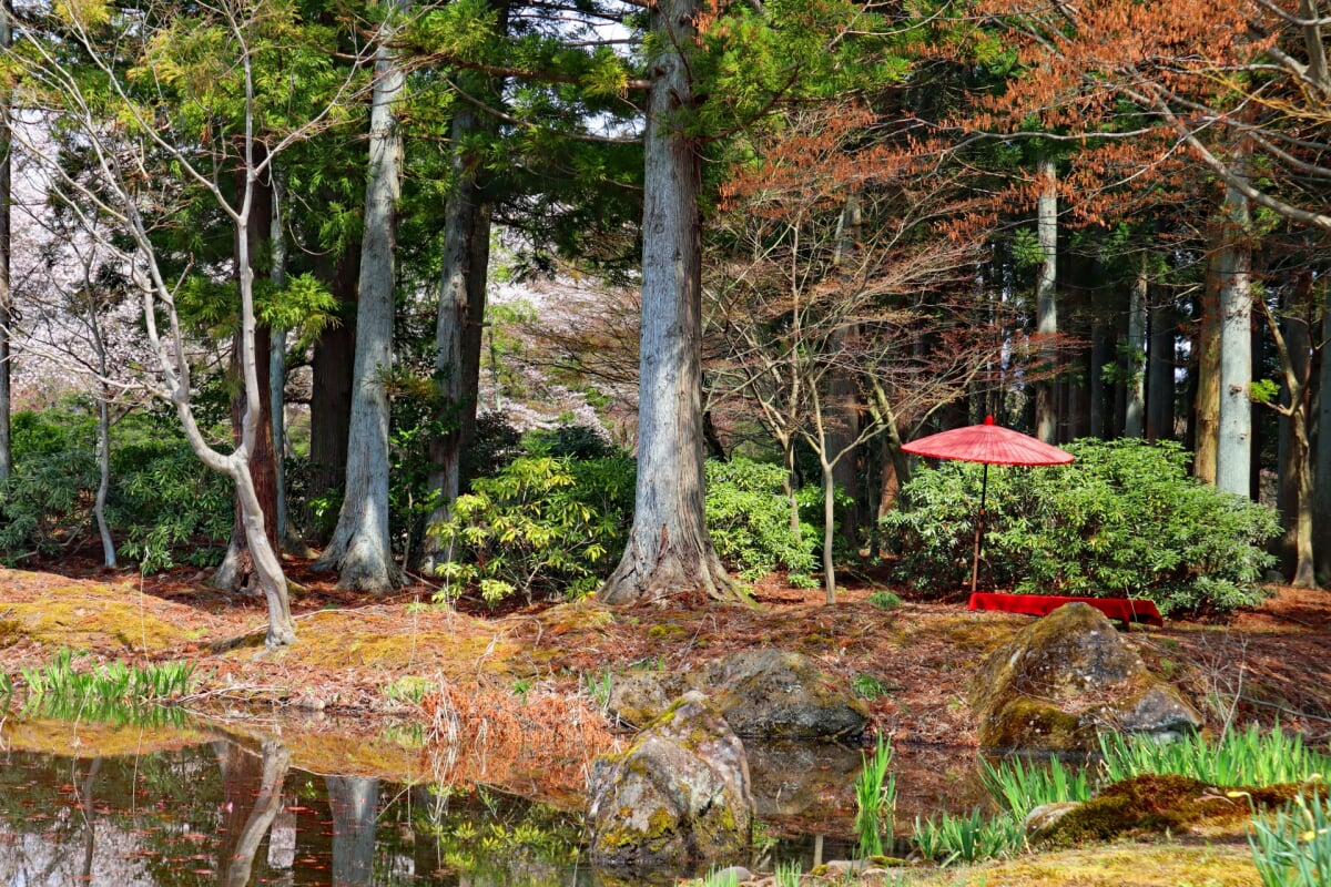 浄楽園の写真22