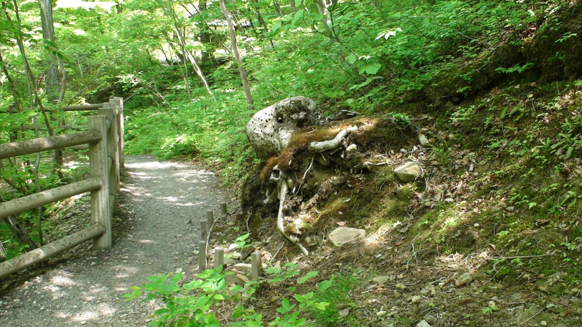仙台市秋保大滝植物園の写真4
