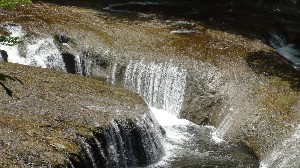仙台市秋保大滝植物園の写真6