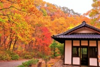 仙台市秋保大滝植物園