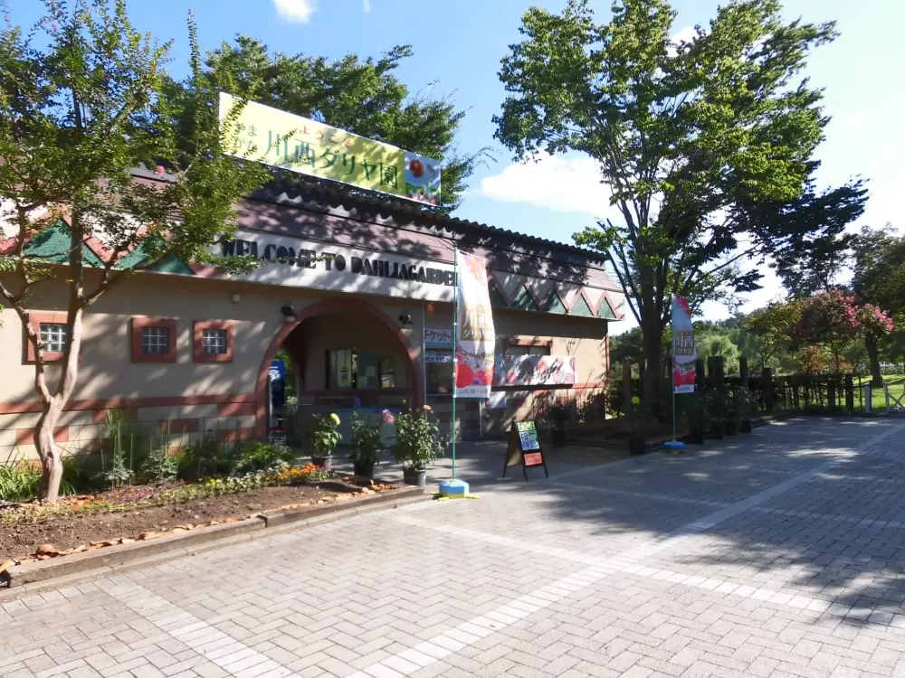 川西ダリヤ園の写真1