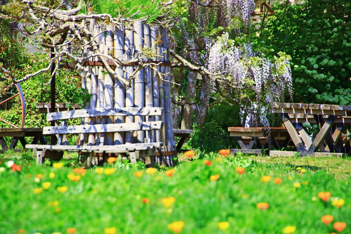 白河フラワーワールドの写真1