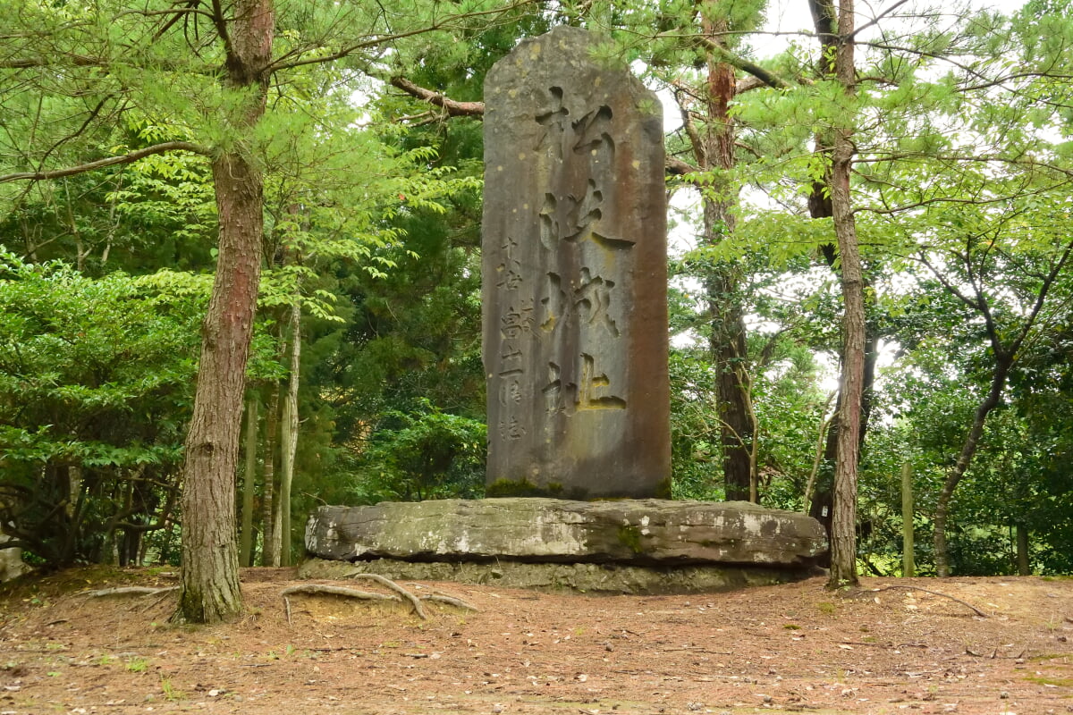 松波城址の写真1