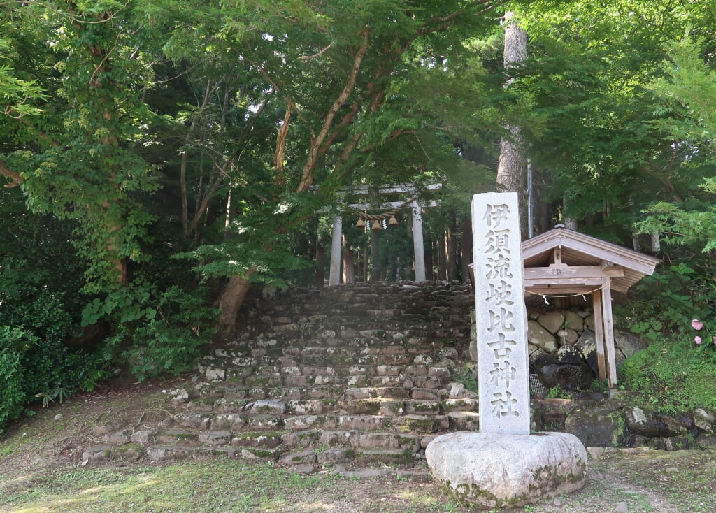 伊須流岐比古神社の写真2