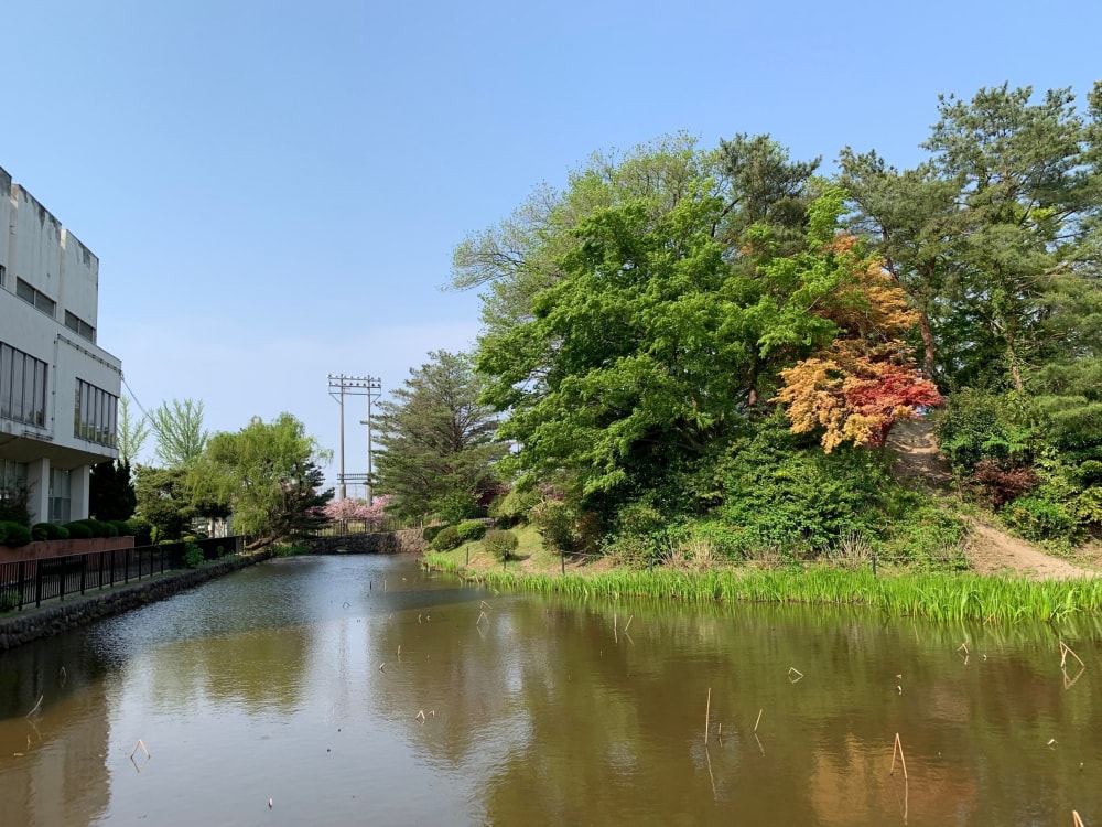 安田城跡の写真2