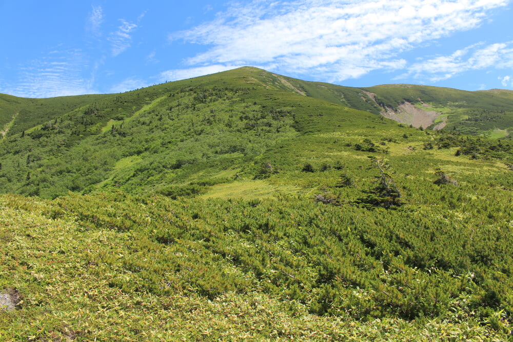 北ノ俣岳の写真1