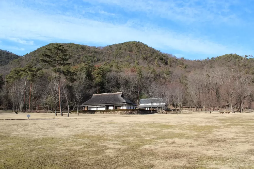 各務野自然遺産の森の写真1