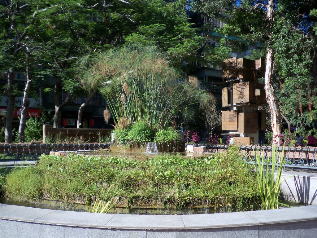 水生植物園の写真9