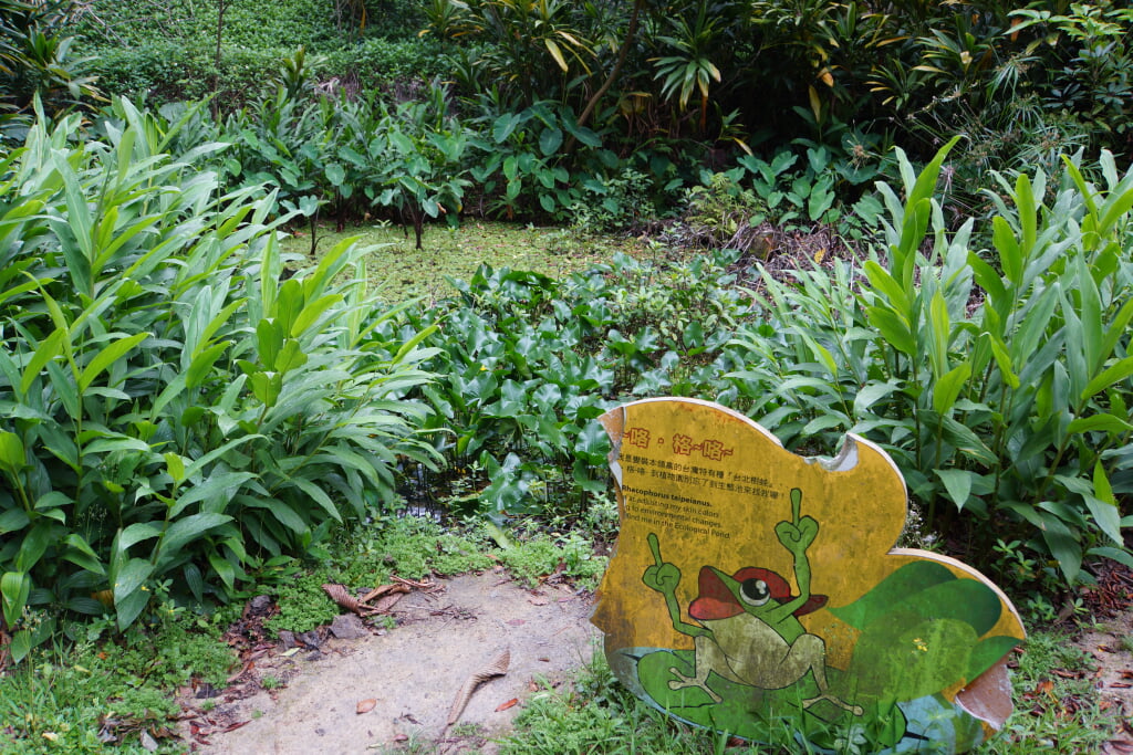 水生植物園の写真13