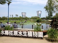 水生植物園