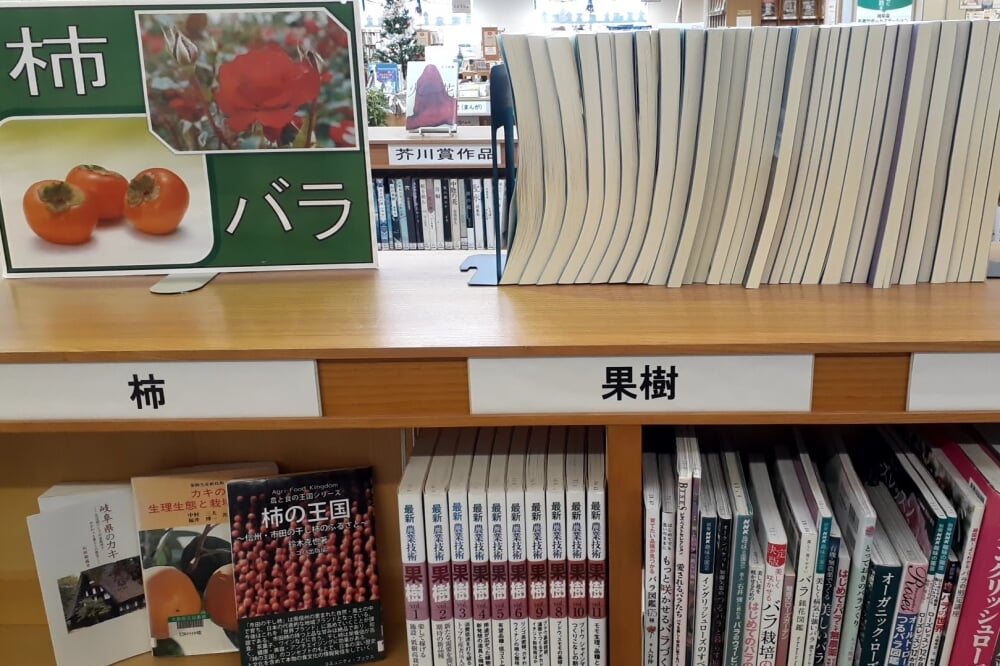 大野町図書館の写真4