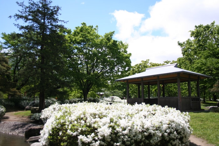 松ヶ池公園（白つつじ公園）の写真3