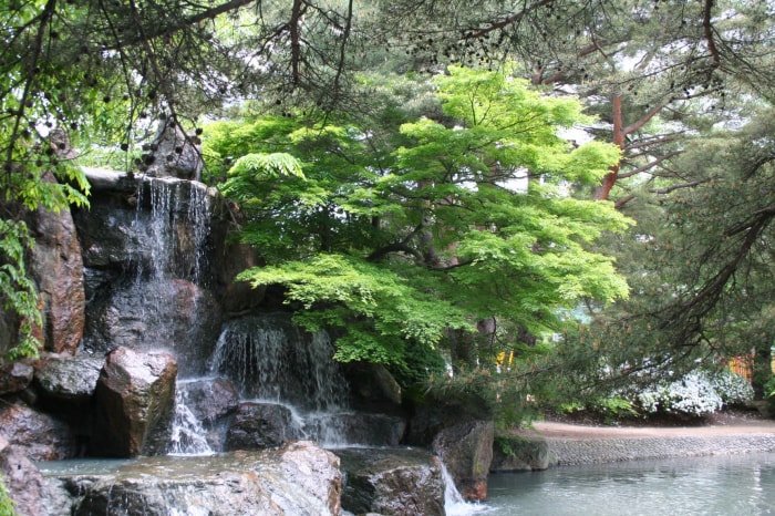 松ヶ池公園（白つつじ公園）の写真8