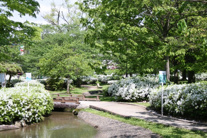 松ヶ池公園（白つつじ公園）の写真16