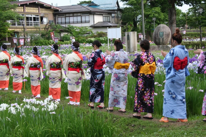 あやめ公園の写真12