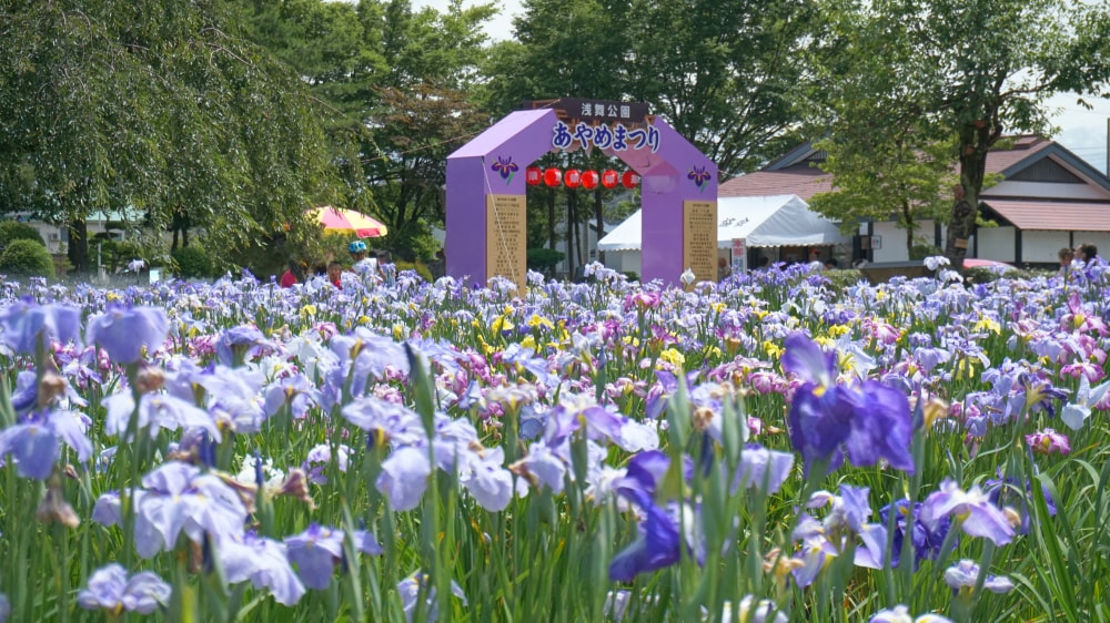 浅舞公園の写真7