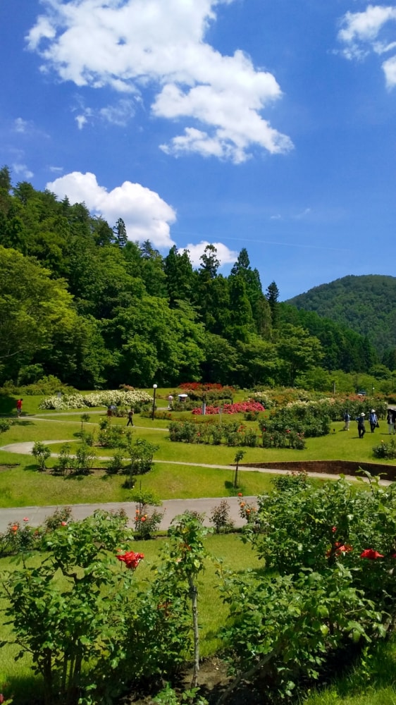東沢バラ公園の写真3