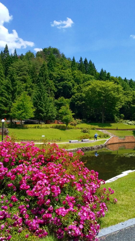 東沢バラ公園の写真4