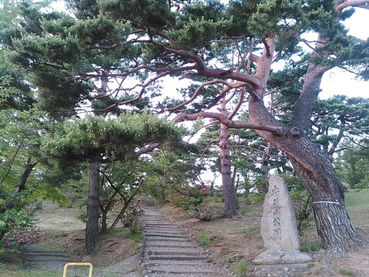安積山公園の写真1