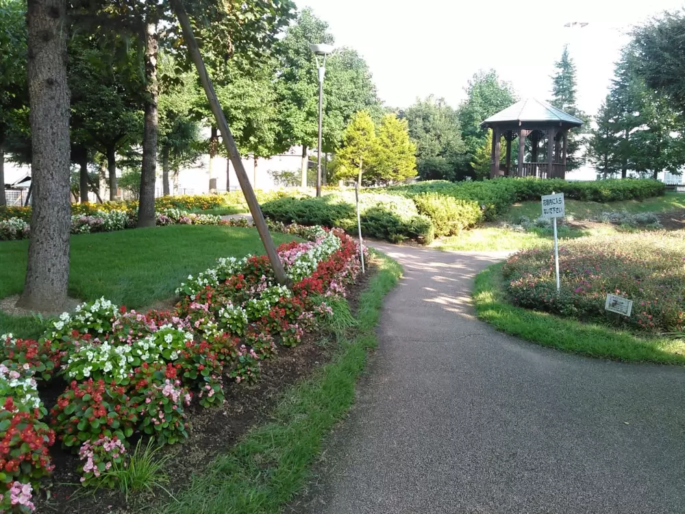 21世紀記念公園麓山の杜の写真1