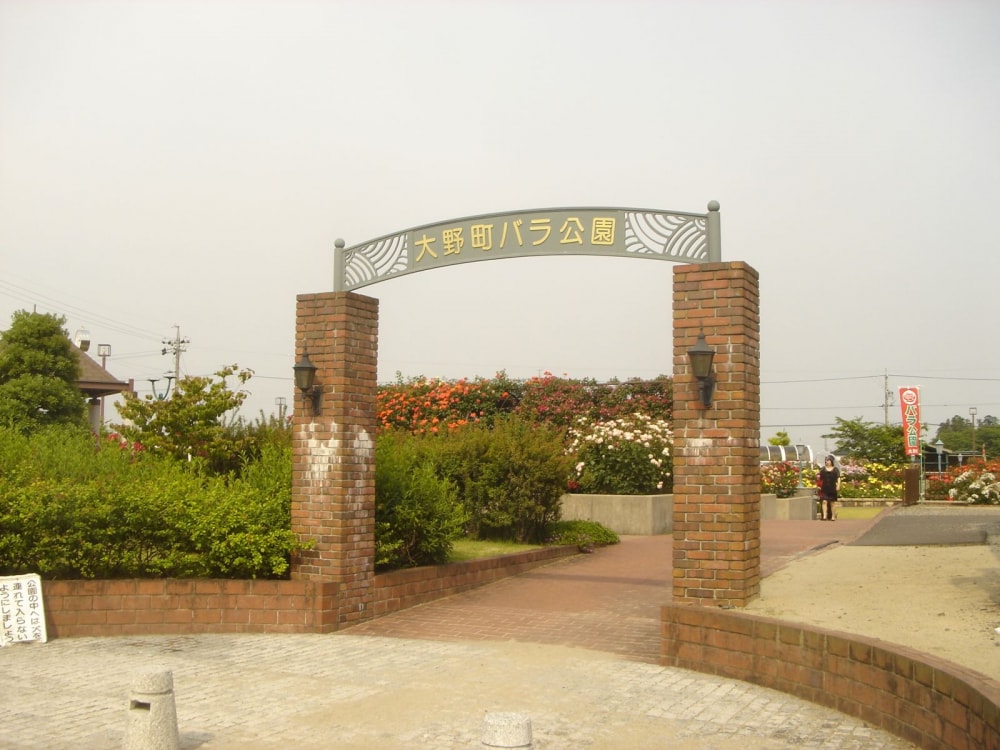 大野町バラ公園の写真2