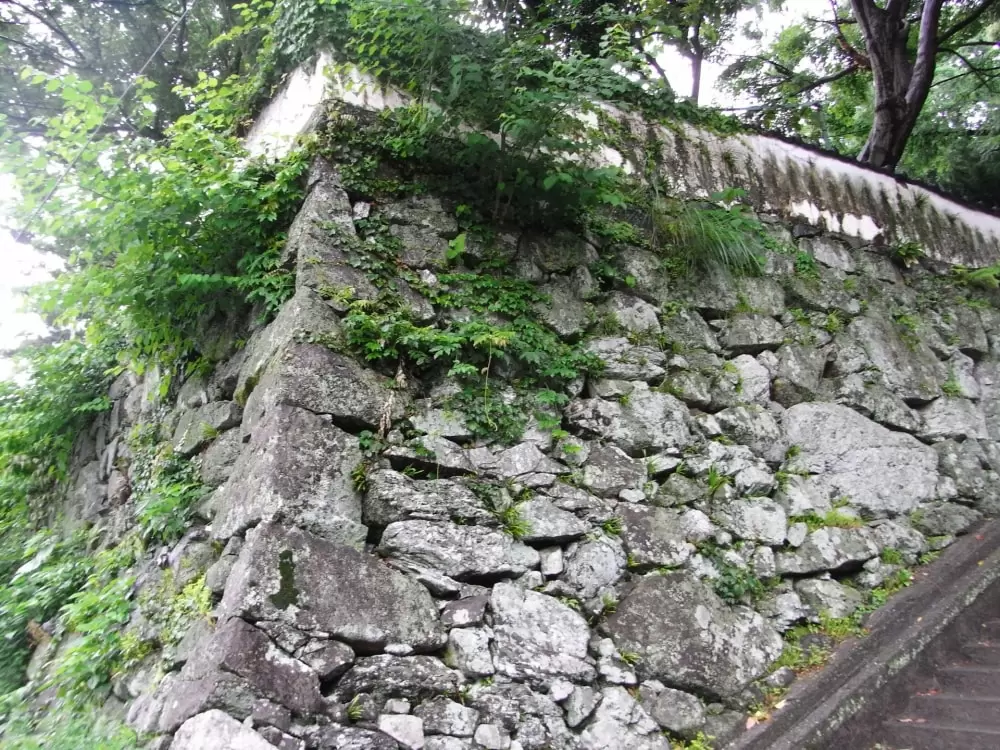 鳥羽城跡の写真1