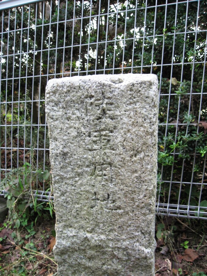 はまゆう公園の写真2