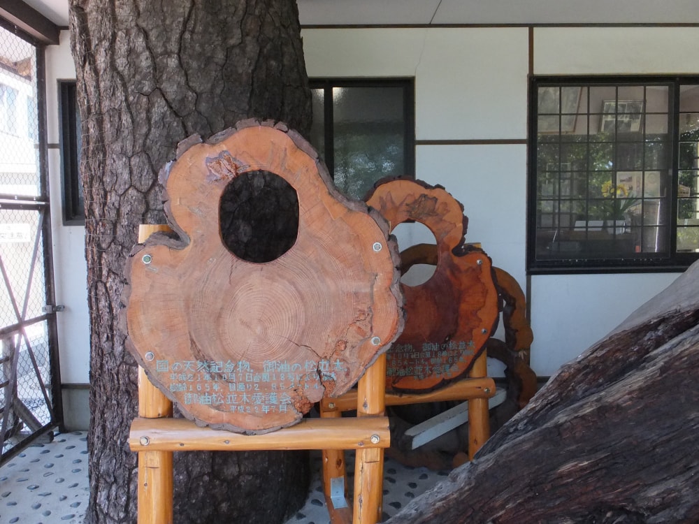 御油の松並木資料館の写真2