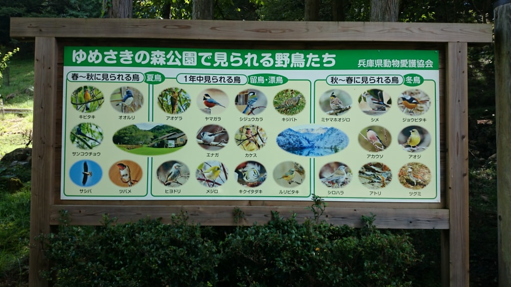 ゆめさきの森公園の写真9