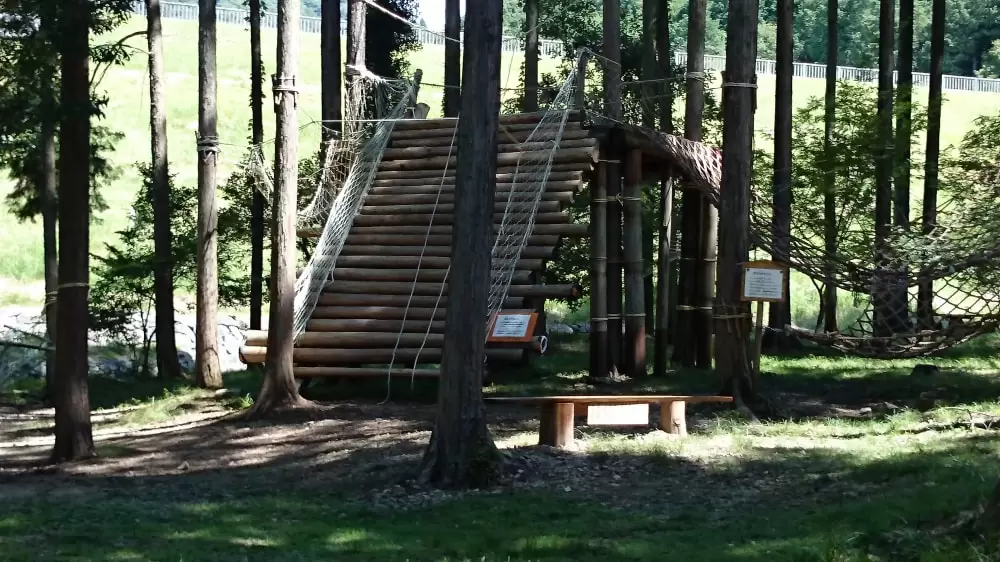 ゆめさきの森公園の写真1