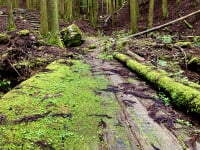 県立ささやまの森公園