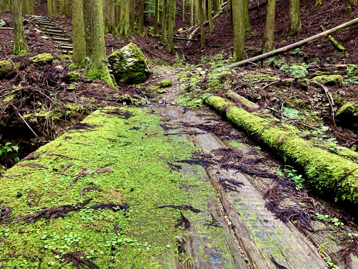 県立ささやまの森公園の写真1