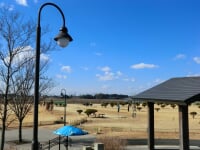 田川ふれあい公園