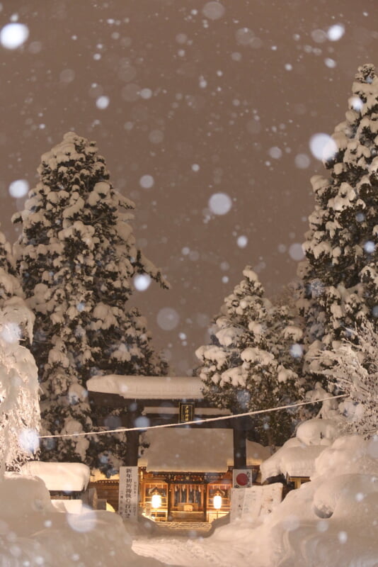 戸澤神社の写真1