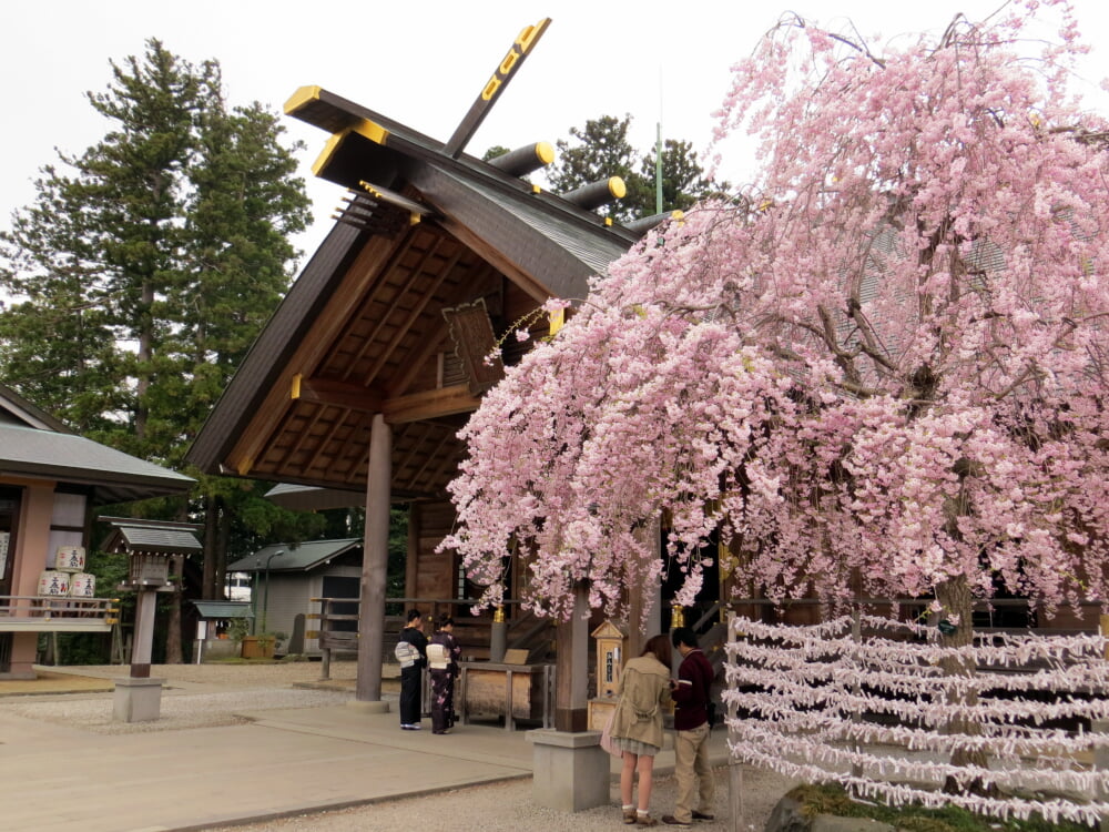 開成山大神宮の写真1