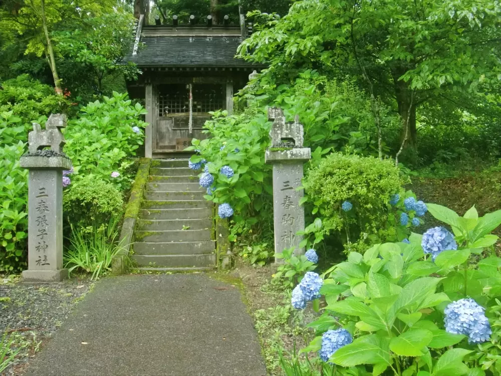 高柴デコ屋敷の写真1