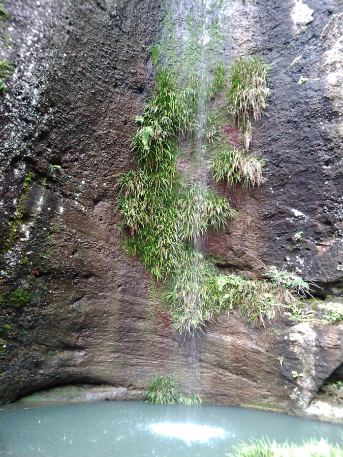 秩父札所三十一番観音院の写真2