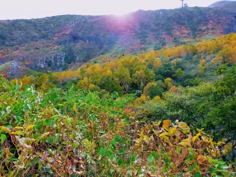 那須高原の写真1