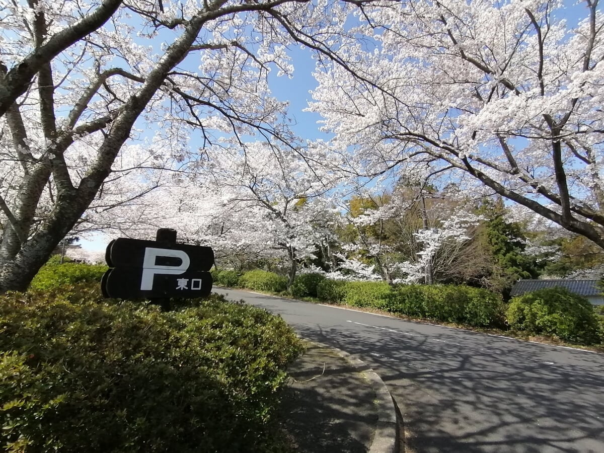 斐川公園の写真1