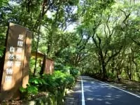 足摺亜熱帯植物園