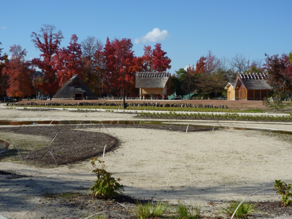 岡山県総合グラウンドの写真2