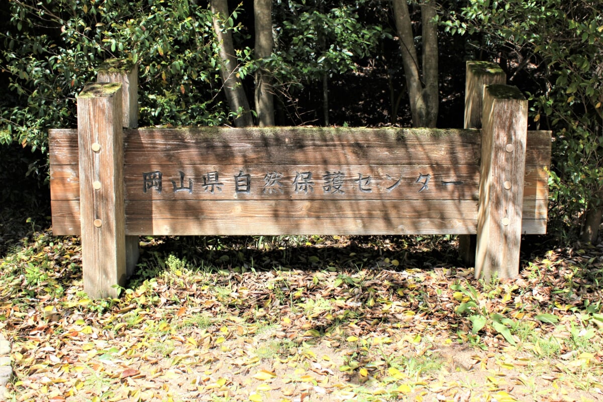 岡山県自然保護センターの写真1