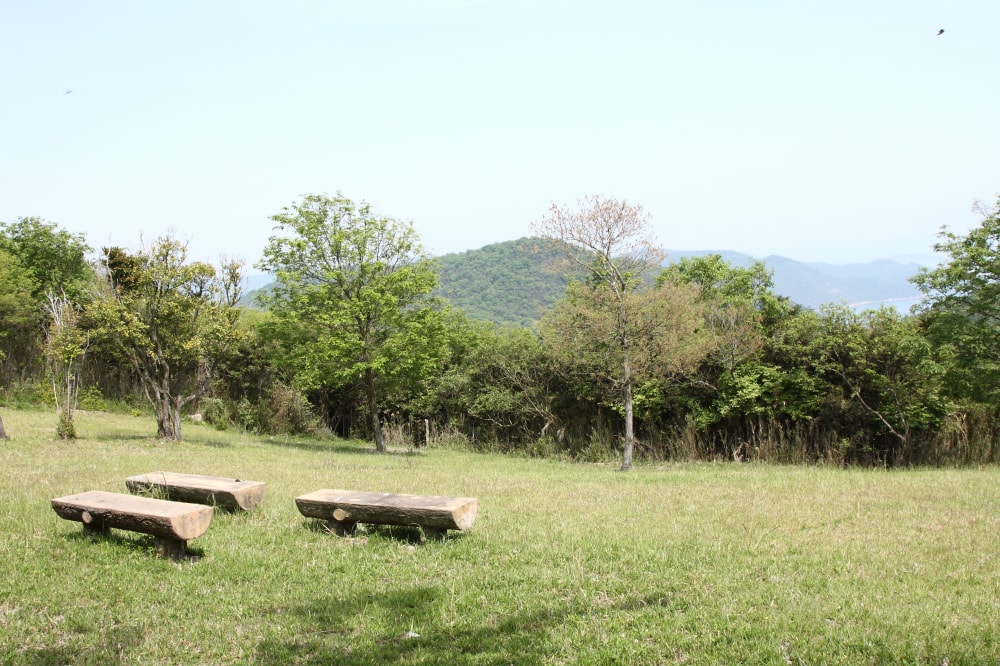 夕立受山の写真3