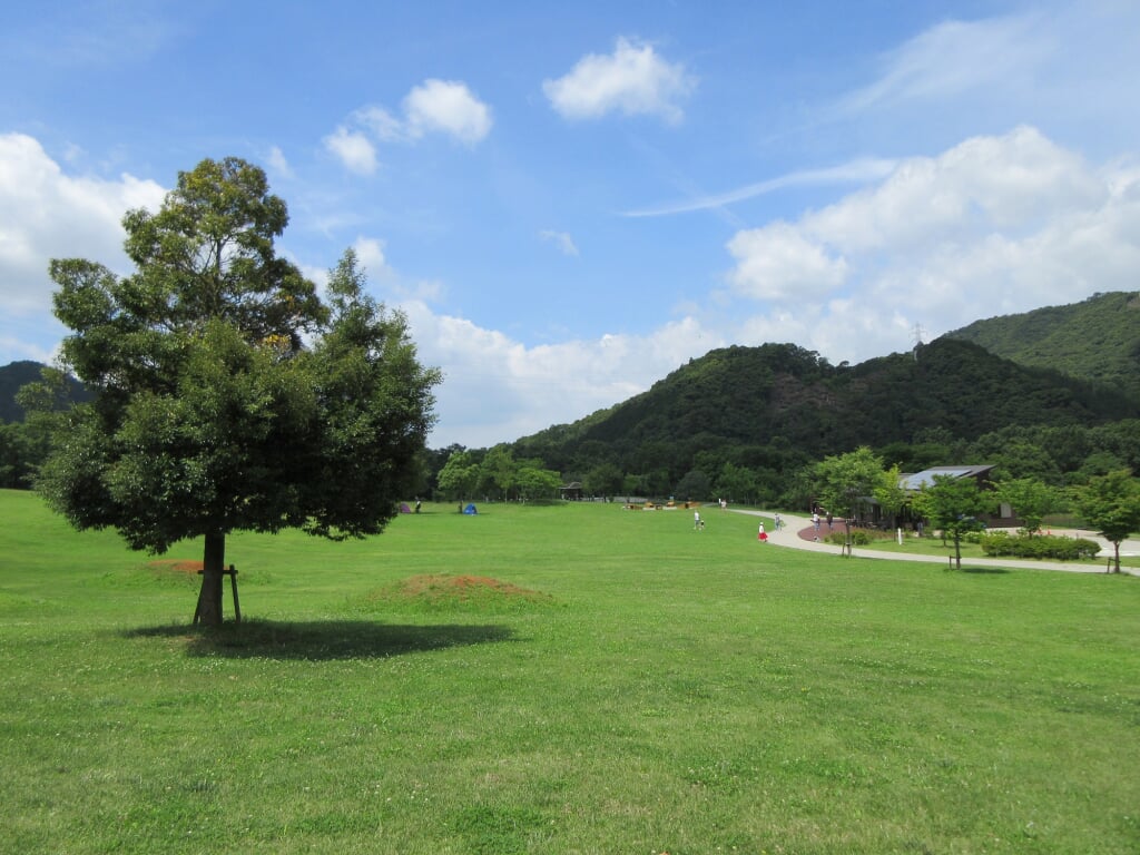 岡崎市こども自然遊びの森　わんParkの写真3