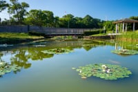 日高港 塩屋緑地(Sioトープ)